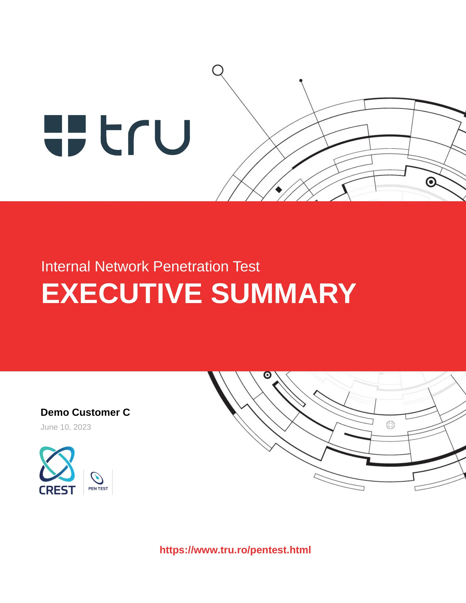 Executive report — page 1